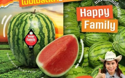 โปรโมชั่นพิเศษสำหรับ Happy Family